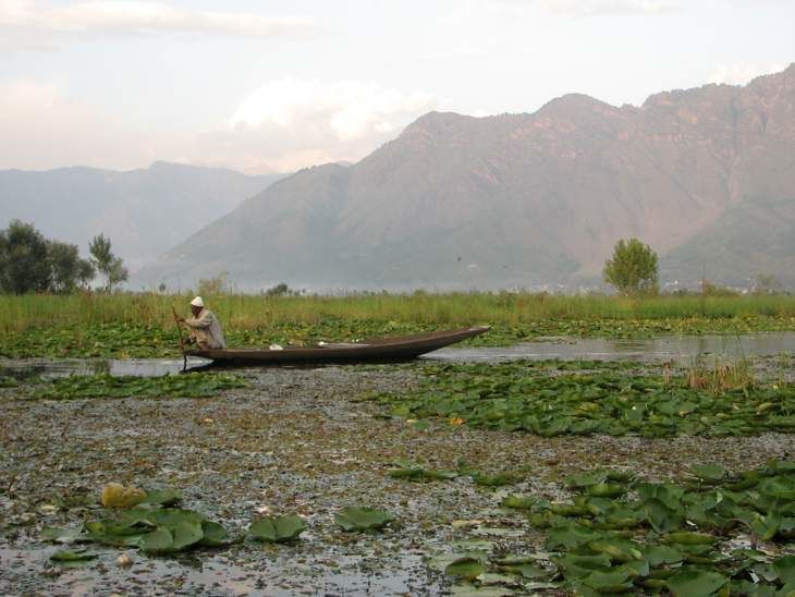 Photo of Paradise on Earth: Kashmir! 4/5 by UB Hawthorn