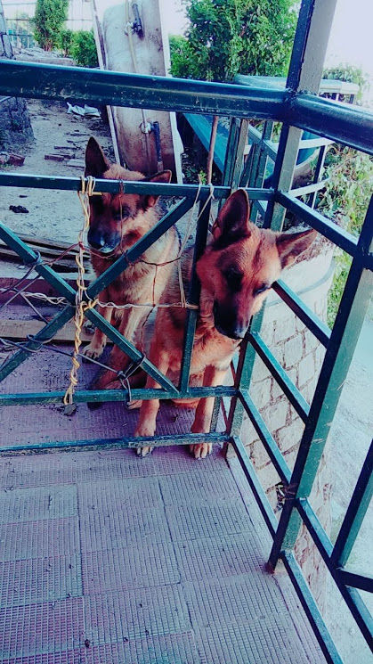 Photo of GIRLYAPPA IN KASAULI!!!! 12/13 by Megha
