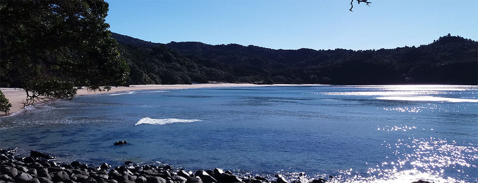 Photo of The Coromandel New Zealand: a small peninsula with a big character 1/3 by Christophe Heyert