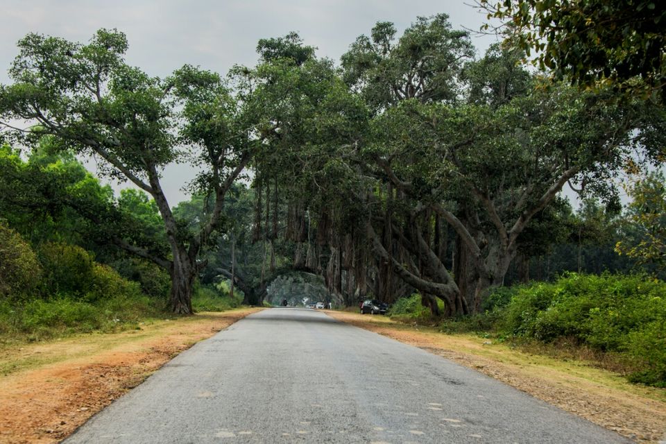 Photo of Historical Mysore- a perfect getaway 1/9 by Sumit Singh