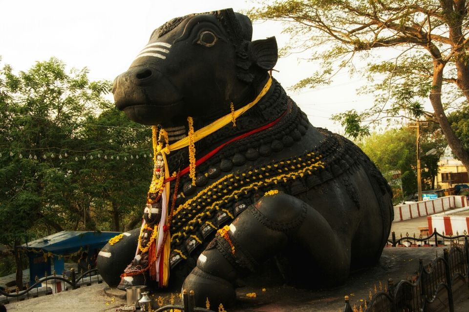 Photo of Historical Mysore- a perfect getaway 5/9 by Sumit Singh