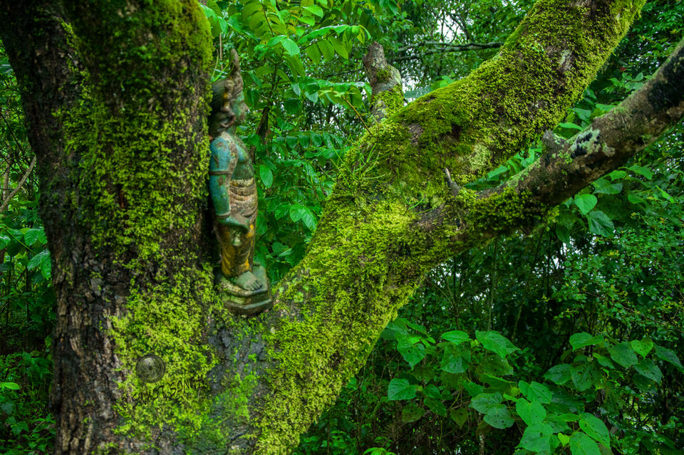 Photo of Weekend, Coorg and Monsoon 4/36 by Sumit Singh
