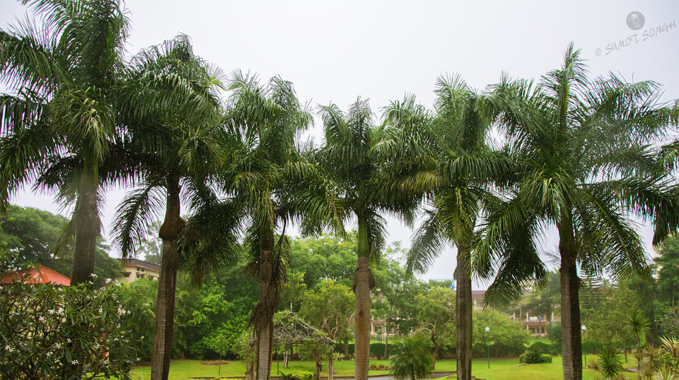 Photo of Weekend, Coorg and Monsoon 11/36 by Sumit Singh