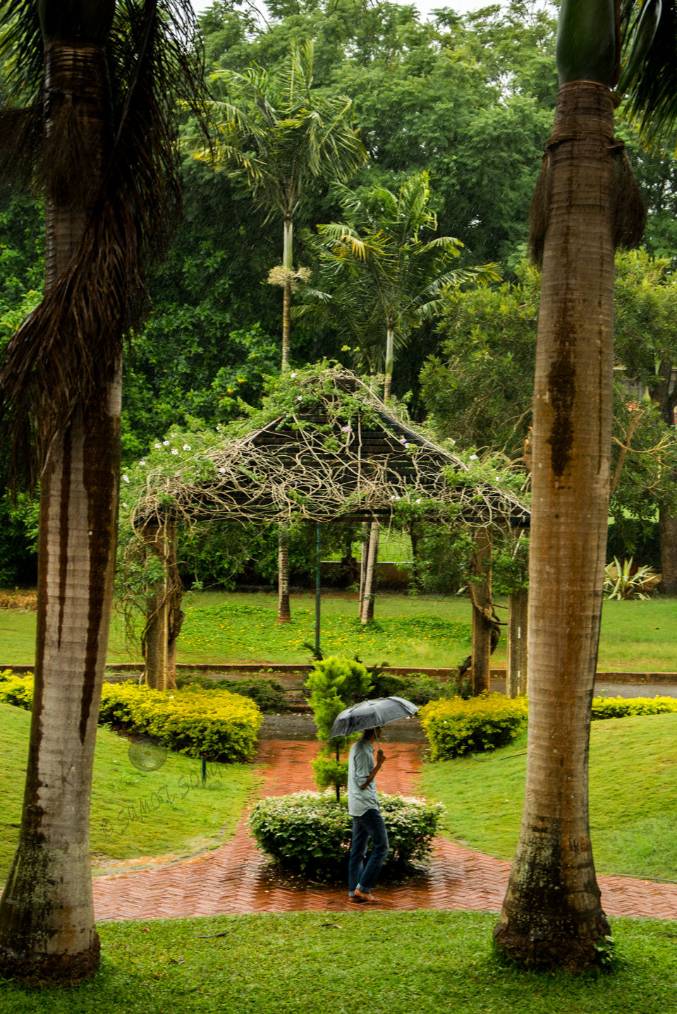 Photo of Weekend, Coorg and Monsoon 12/36 by Sumit Singh