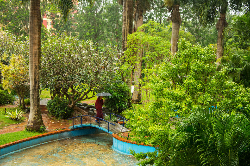 Photo of Weekend, Coorg and Monsoon 13/36 by Sumit Singh