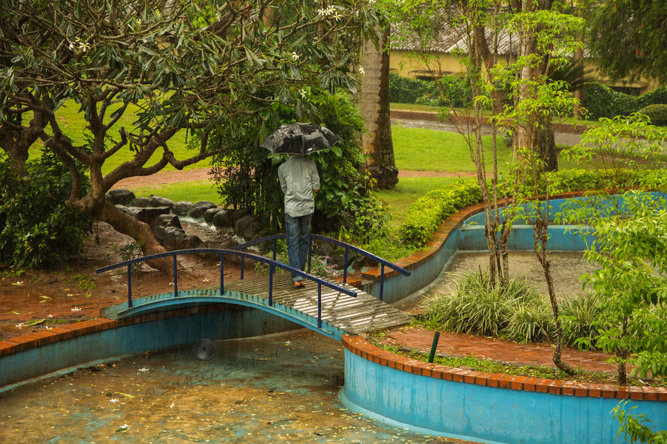 Photo of Weekend, Coorg and Monsoon 15/36 by Sumit Singh