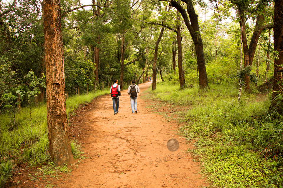 Photo of Weekend, Coorg and Monsoon 24/36 by Sumit Singh