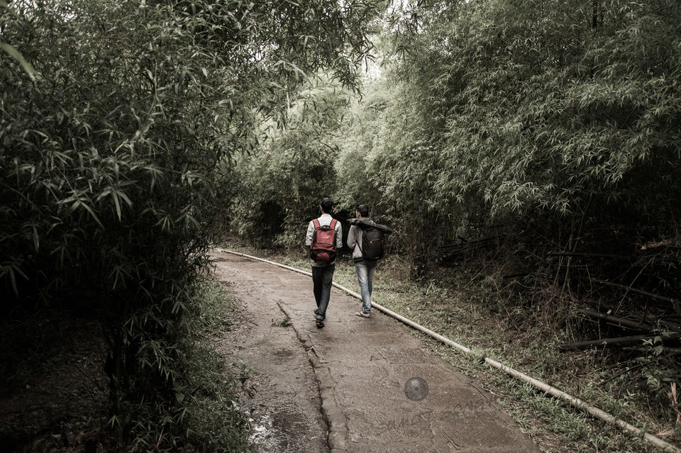 Photo of Weekend, Coorg and Monsoon 27/36 by Sumit Singh