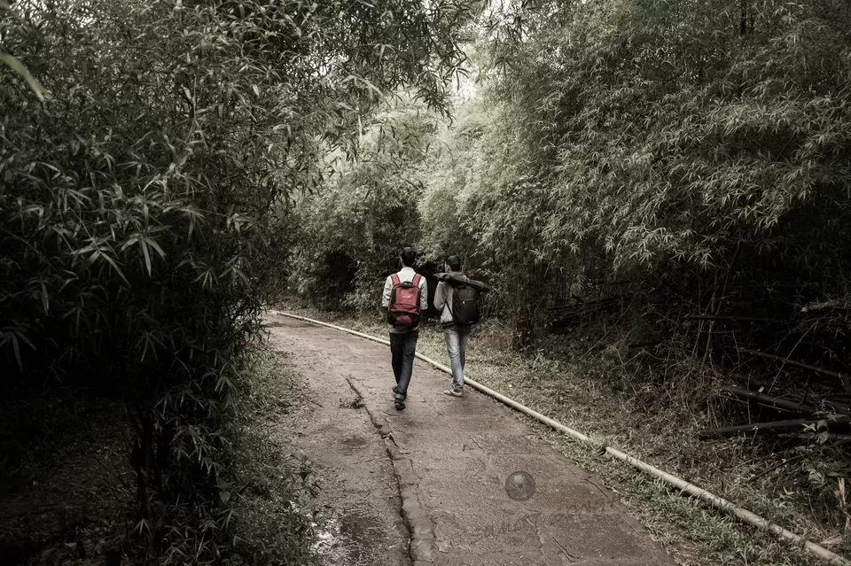 Photo of Nisargadhama, Kodagu, Karnataka, India by Sumit Singh