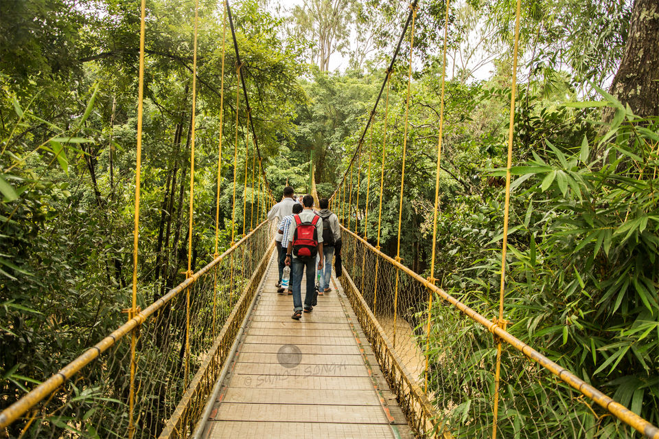 Photo of Weekend, Coorg and Monsoon 29/36 by Sumit Singh