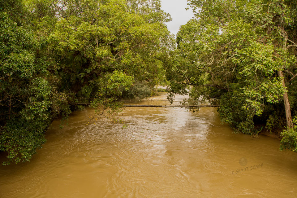 Photo of Weekend, Coorg and Monsoon 30/36 by Sumit Singh