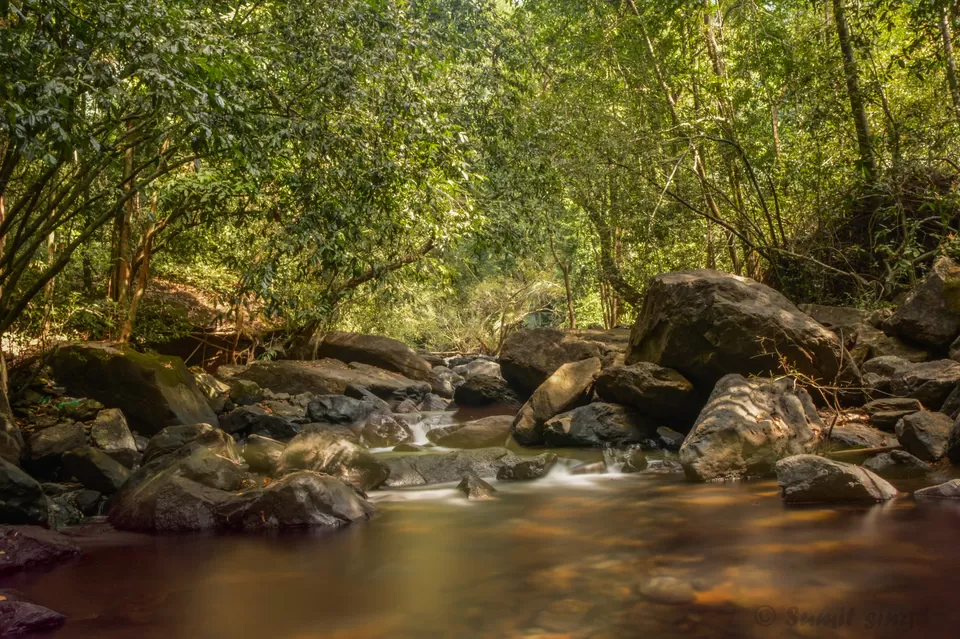 Photo of Dudhsagar Falls, Sonaulim, Goa 403410, India by Sumit Singh