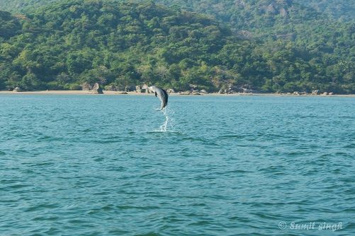Photo of Goa - A Less Ordinary Life 13/67 by Sumit Singh