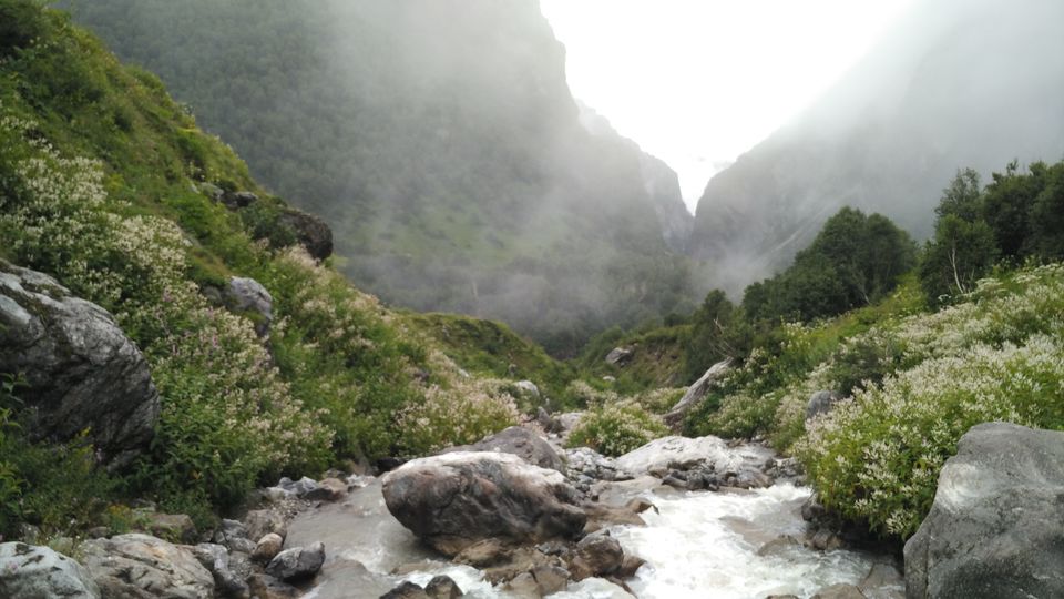 Photo of A Geologist's Baptism : Valley of Flowers & Hemkund Sahib Solo Trip by Animesh Anand