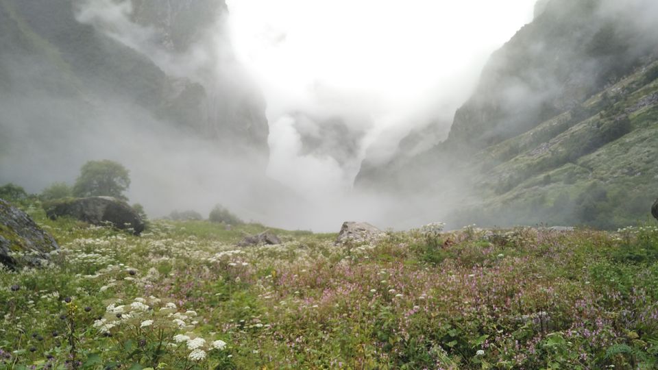 Photo of A Geologist's Baptism : Valley of Flowers & Hemkund Sahib Solo Trip by Animesh Anand