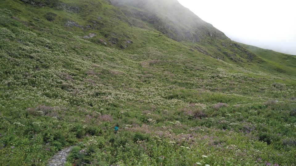Photo of A Geologist's Baptism : Valley of Flowers & Hemkund Sahib Solo Trip by Animesh Anand