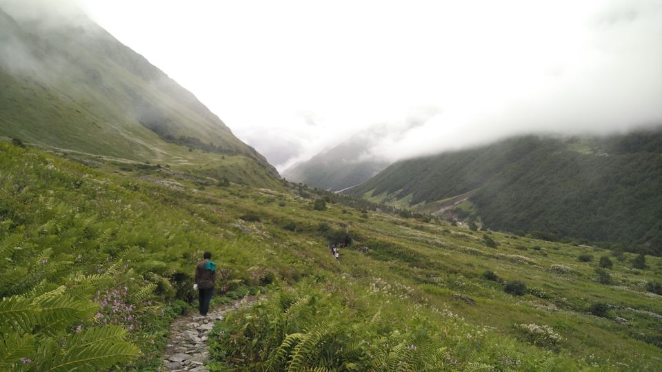 Photo of A Geologist's Baptism : Valley of Flowers & Hemkund Sahib Solo Trip by Animesh Anand