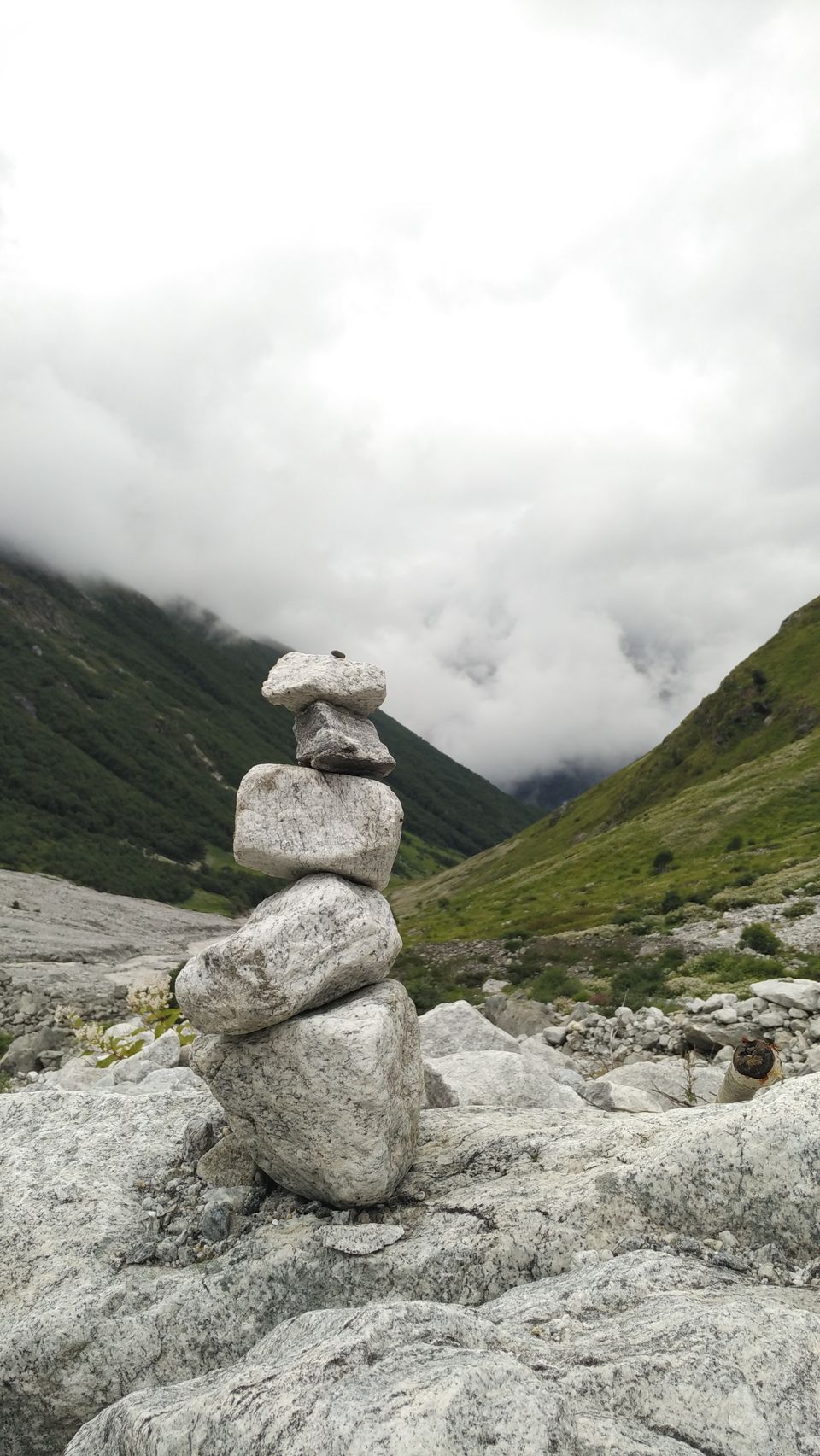 Photo of A Geologist's Baptism : Valley of Flowers & Hemkund Sahib Solo Trip by Animesh Anand