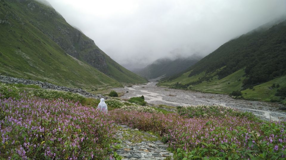Photo of A Geologist's Baptism : Valley of Flowers & Hemkund Sahib Solo Trip by Animesh Anand