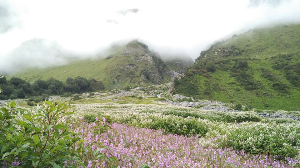 Photo of A Geologist's Baptism : Valley of Flowers & Hemkund Sahib Solo Trip by Animesh Anand