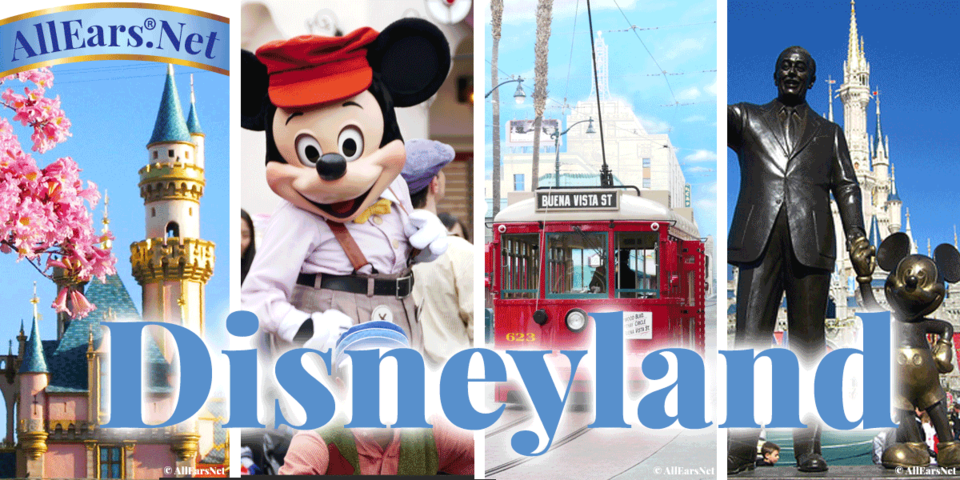 Photo of Walt Disney World Vacation Packages 1/5 by Click The Mouse