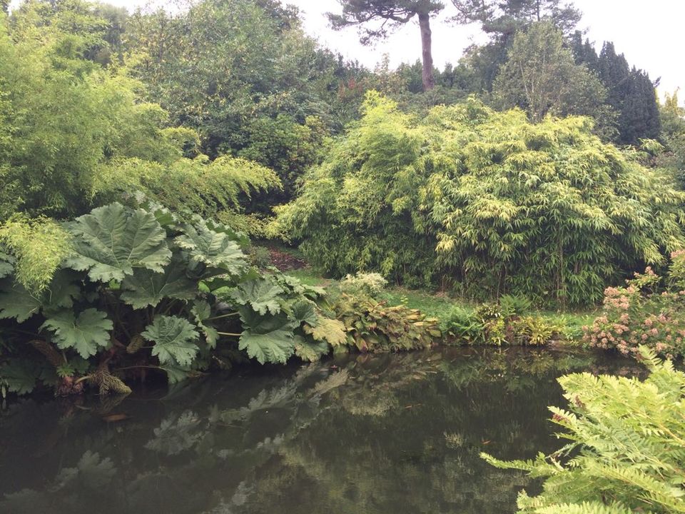 Photo of Chartwell 2/4 by Colin Chaplin