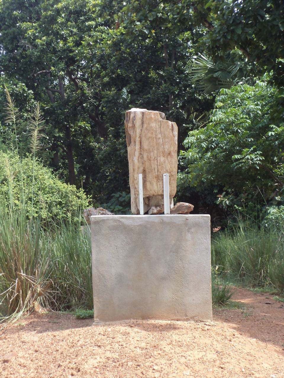 Photo of Illambazar, West Bengal, India by Tirtha