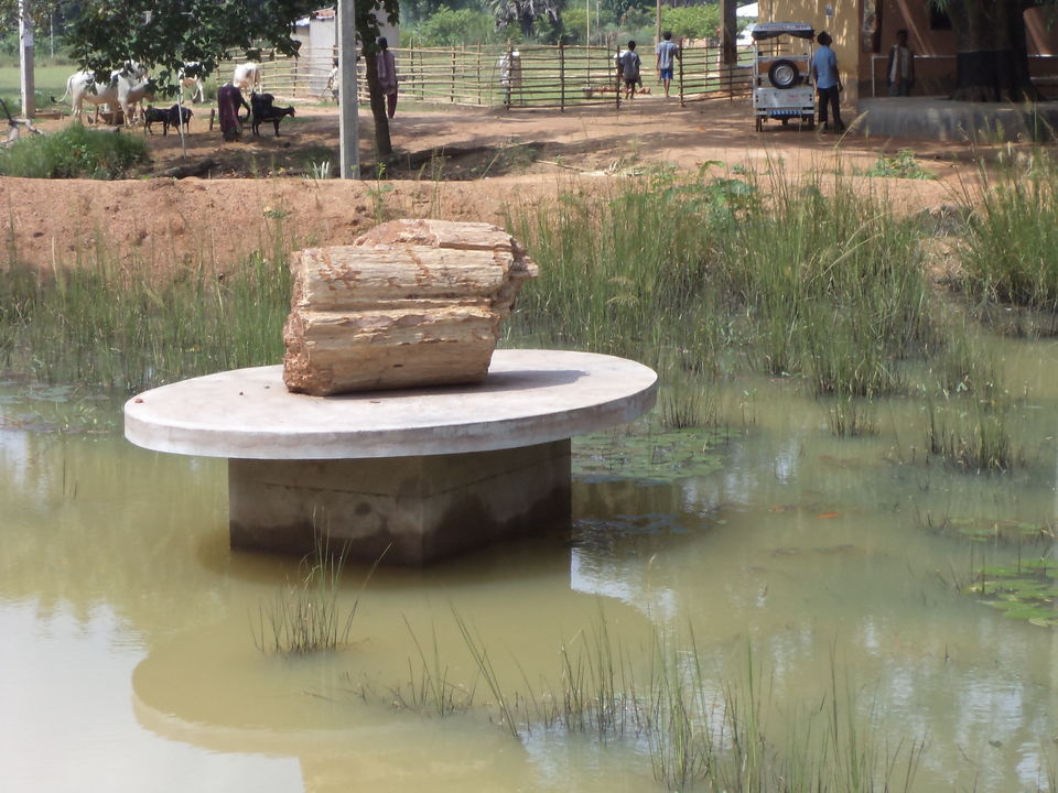Photo of Illambazar, West Bengal, India by Tirtha