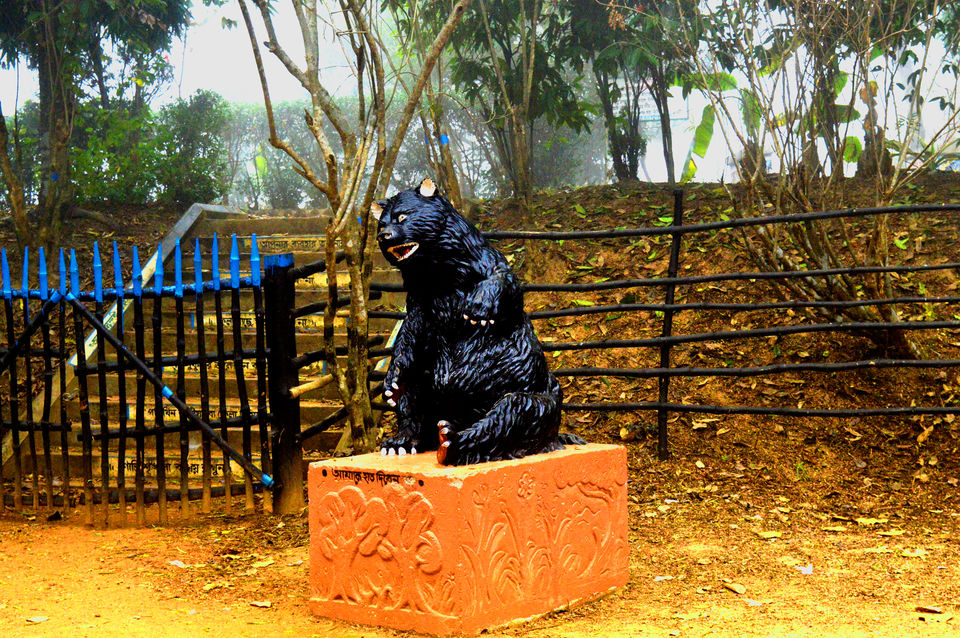 Photo of Bhalkimachan - the royal bear hunting grounds by Tirtha