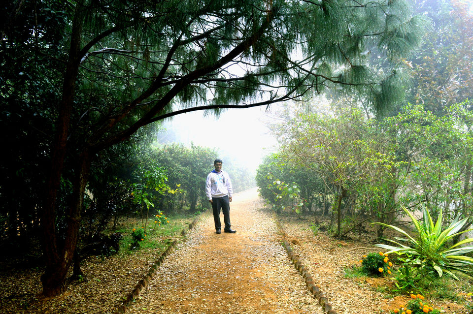 Photo of Aranyasundari Valkimachan, Bunglow Road, Pratappur, West Bengal, India by Tirtha