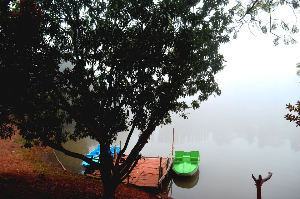Photo of Bhalkimachan - the royal bear hunting grounds by Tirtha