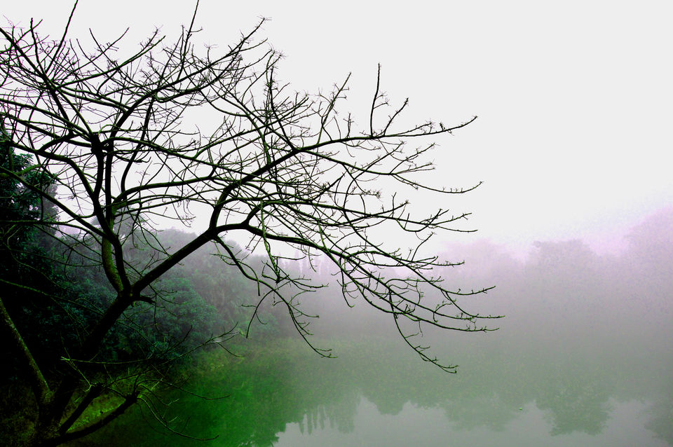 Photo of Bhalkimachan - the royal bear hunting grounds by Tirtha