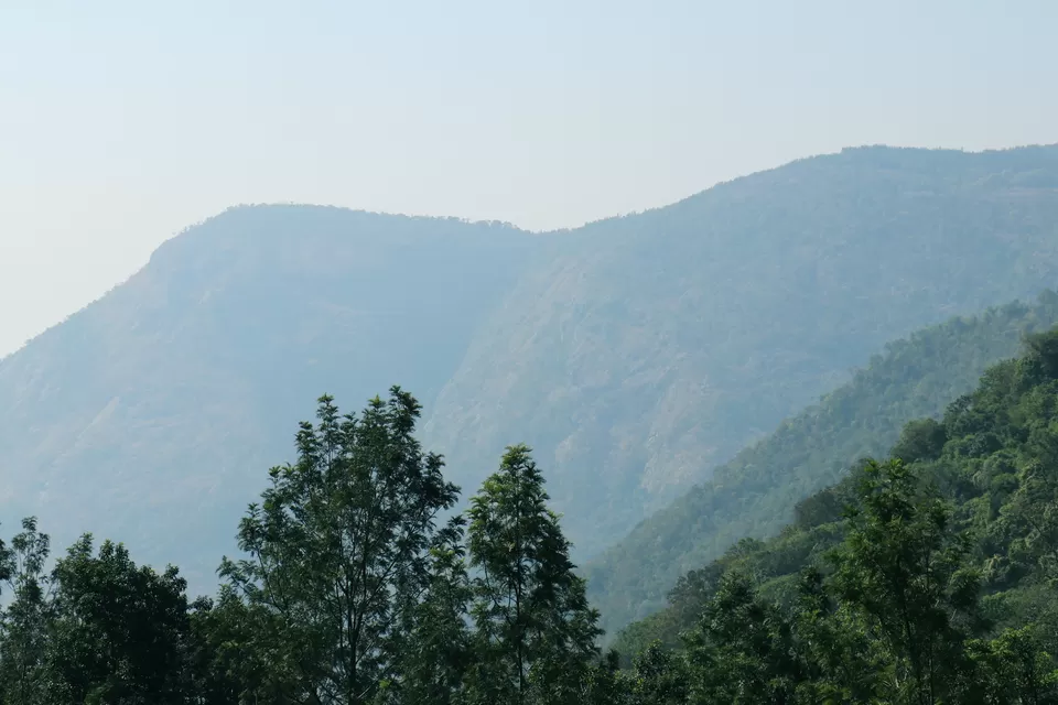 Photo of Kiliyur Falls, Yercaud, Killiyur Road, Pattipadi, Tamil Nadu, India by World Unfurled