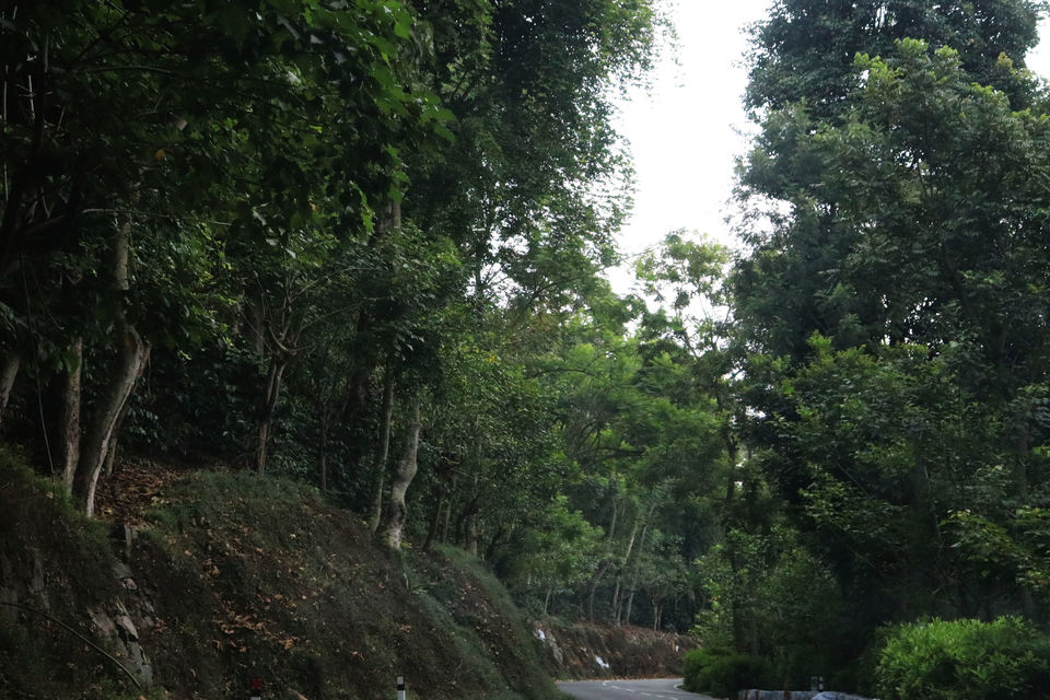 Photo of 5 things to do on your trip to Yercaud 1/2 by World Unfurled