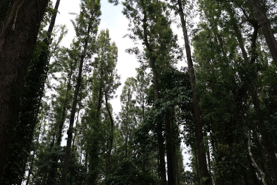 Photo of 5 things to do on your trip to Yercaud 2/2 by World Unfurled