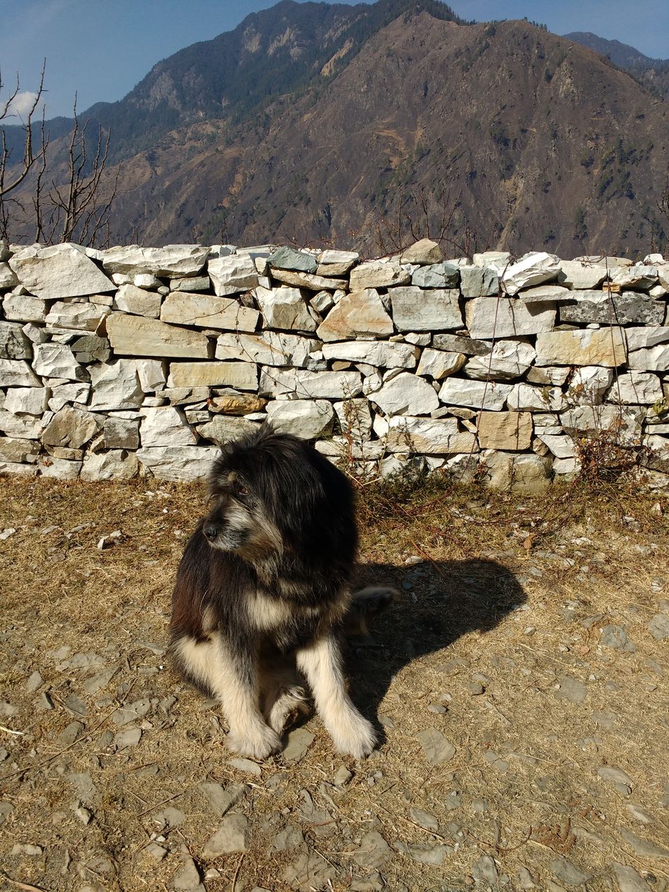Photo of Winter is coming - Kedarkantha Winter Trek 5/14 by Rachna
