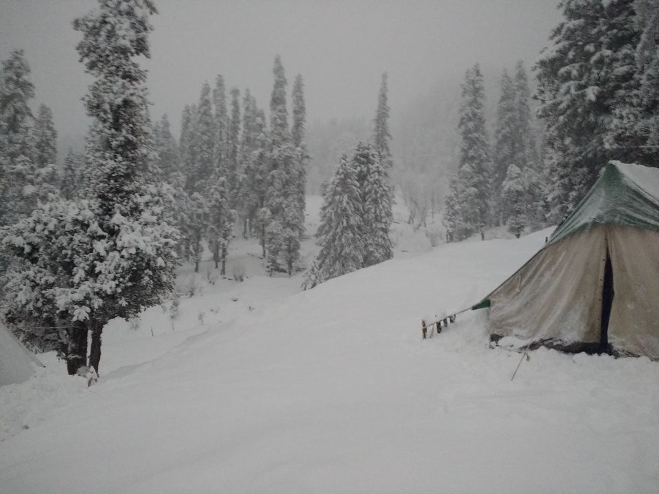 Photo of Winter is coming - Kedarkantha Winter Trek 12/14 by Rachna