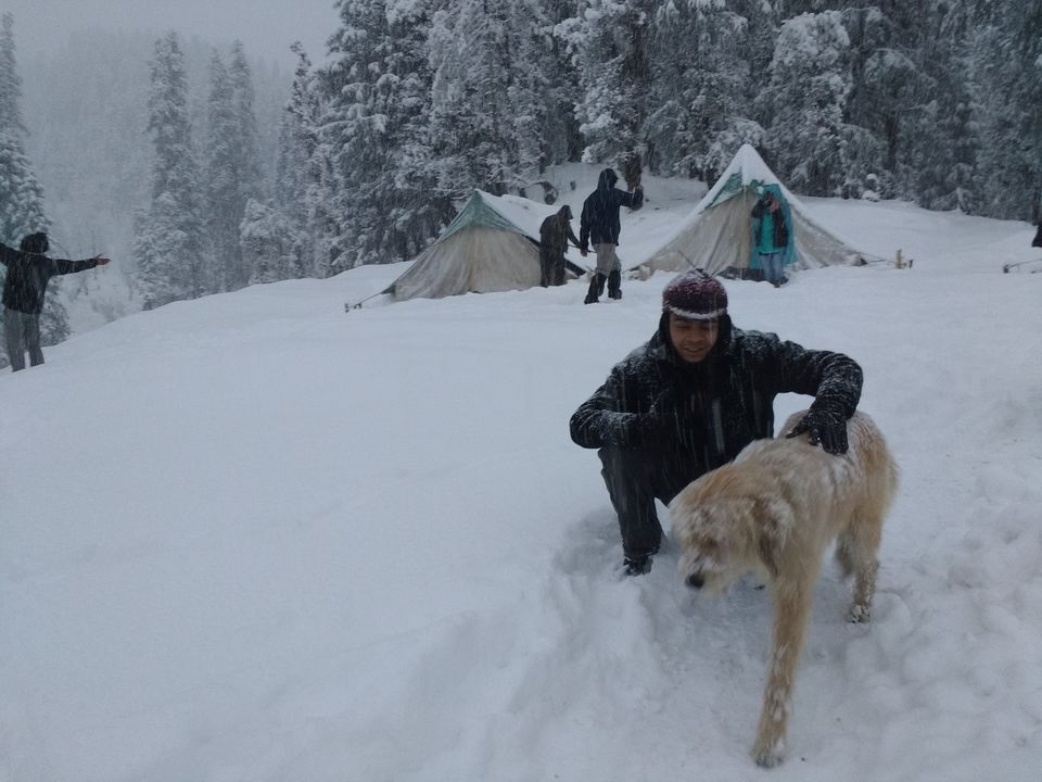 Photo of Winter is coming - Kedarkantha Winter Trek 13/14 by Rachna