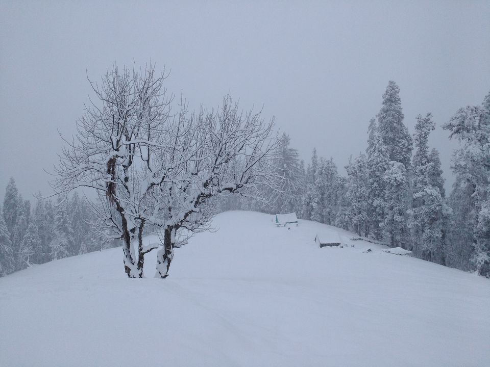 Photo of Winter is coming - Kedarkantha Winter Trek 14/14 by Rachna