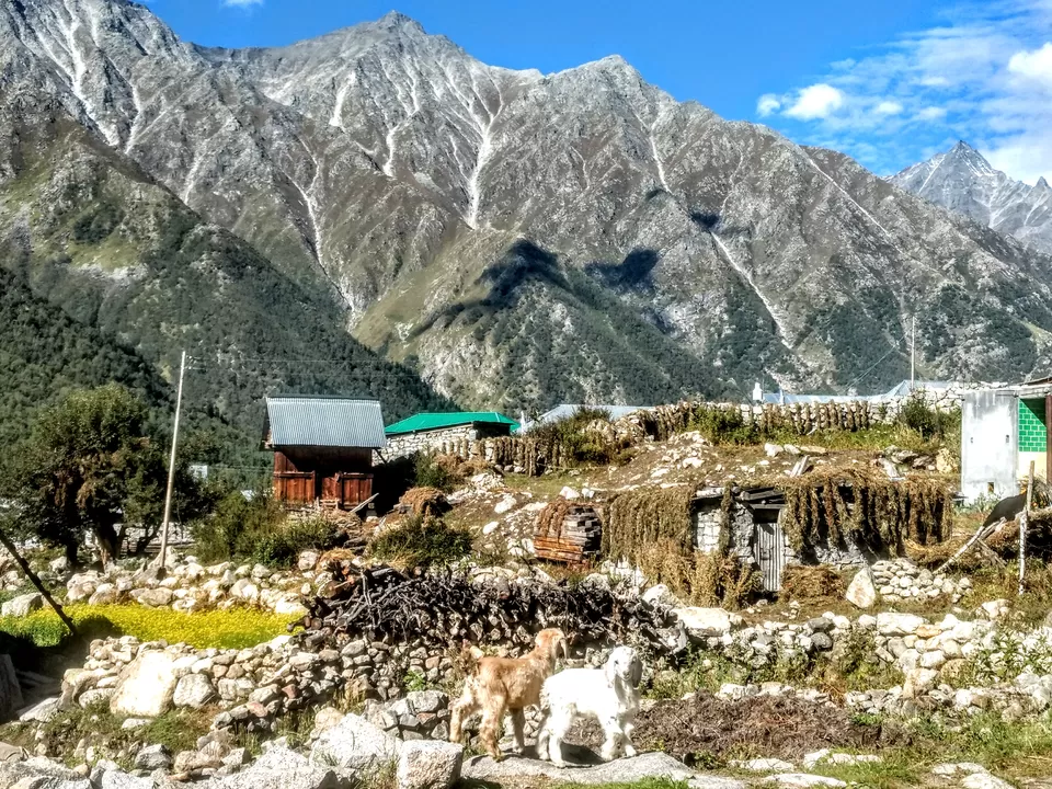 Photo of Chitkul, Himachal Pradesh, India by Ajinkya Deshmukh