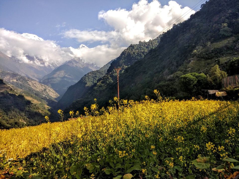Photo of Landruk, Lumle, Nepal by Ajinkya Deshmukh