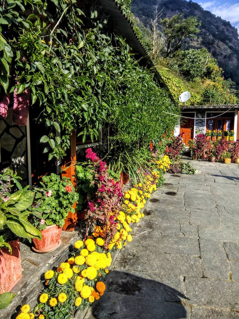 Photo of Landruk, Lumle, Nepal by Ajinkya Deshmukh