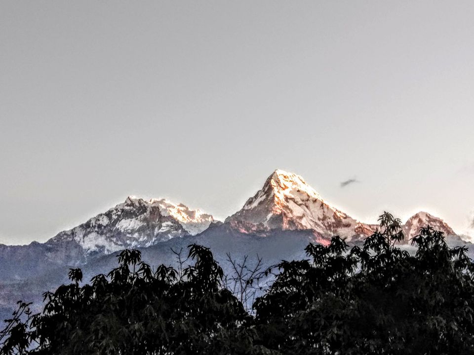 Photo of Solo trek to Ghorepani Poonhill in Annapurna Himalayas by Ajinkya Deshmukh