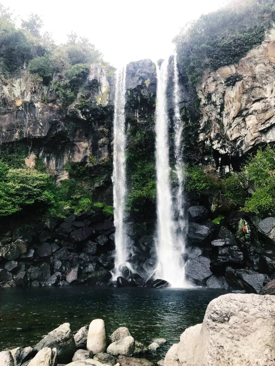 Photo of Jeju Island, Sinpung-ri, Seongsan-eup, Seogwipo-si, Jeju-do, South Korea by Garima Bhatt