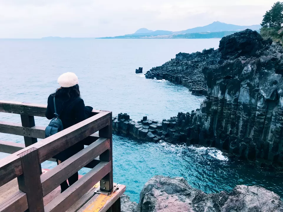 Photo of Jusangjeollidae, Jungmun-dong, Seogwipo-si, Jeju-do, South Korea by Garima Bhatt