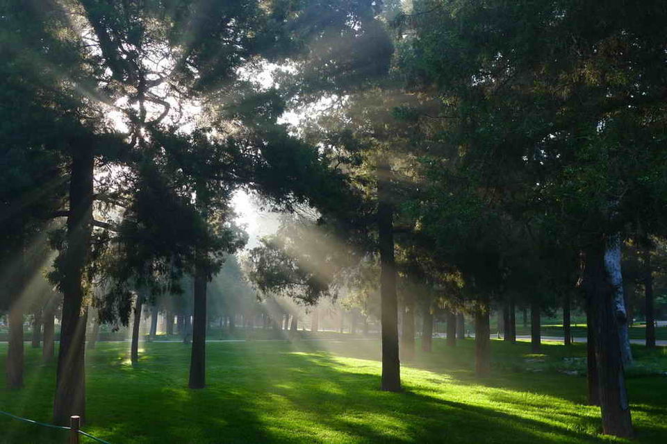 Photo of Beijing Private City Day Tour: Explore the Old Central Axis 18/26 by WikiBeijing