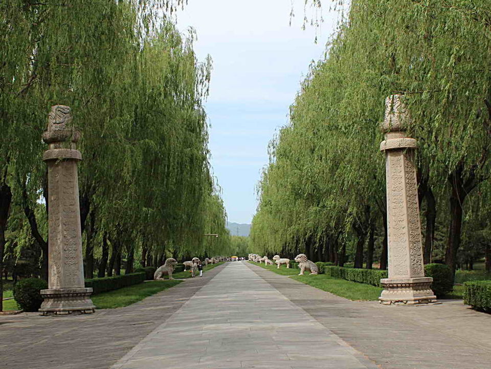 Photo of Beijing Private Day Tour: Great Wall at Juyongguan+Sacred Way+Hutong 11/17 by WikiBeijing