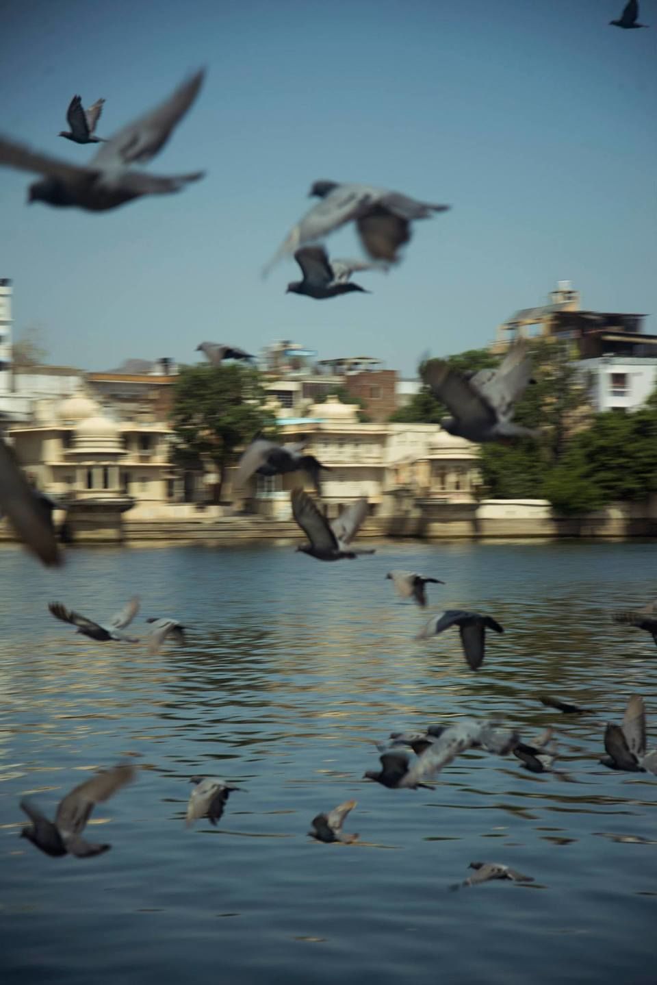 Photo of Udaipur, Rajasthan, India by Devansh Dhar