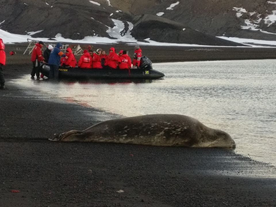 Photo of Deception Island by Devansh Dhar