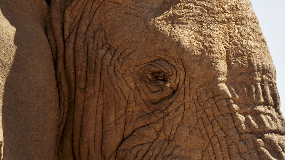 Photo of Addo Elephant National Park, Paterson Road, Addo, South Africa by Devansh Dhar